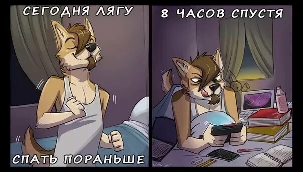 Фурри комиксы вк. Фурри приколы. Фурри Мем. Furry мемы. Фурри приколы мемы.