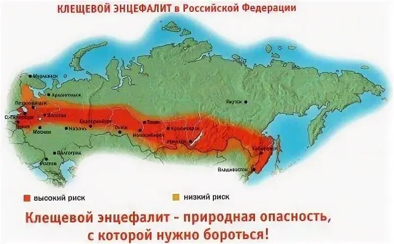 Где водятся энцефалитные клещи. Энцефалитные клещи ареал. Ареал распространения энцефалитного клеща. Клещевой энцефалит ареал распространения. Карта обитания энцефалитных клещей.