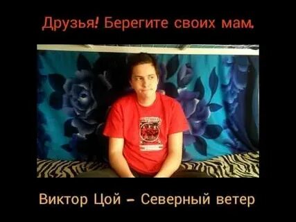 Цой северный ветер