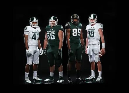 Michigan state