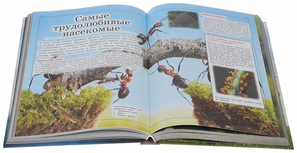 большая детская 3д энциклопедия обо всем на свете. большая детская энциклопедия обо всем. большая детская энциклопедия обо всем. энциклопедия обо всем на свете. электронные энциклопедии для дошкольников.