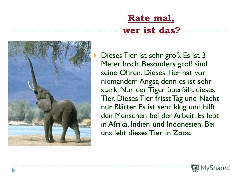 Sehr. дас гут. немецкий язык тема das zimmer. Heute ist es ziemlich warm текст. Arbeitsblatt немецкий язык.