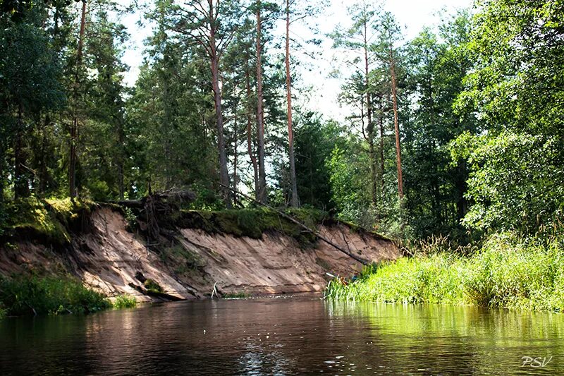 Нарочанка река. Узлянка река. Узлянка река. Река нарочанка. Река нарочанка.