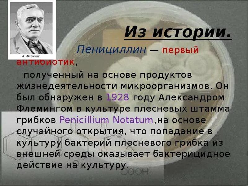 1928 год пенициллин