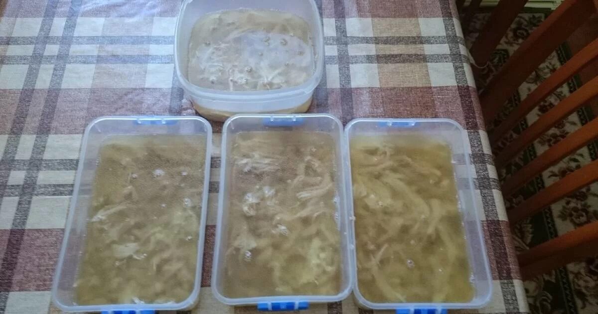 Холодец из куриных окорочков с желатином рецепт. Холодец приготовление пошаговый. холодец пошагово с фото. холодец из курицы с желатином пошаговый рецепт классический. куриный холодец без желатина.