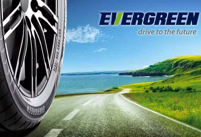 Эвергрин шины грузовые. Evergreen шины. evergreen шины logo. автошина evergreen edr50. evergreen шина грузовая.