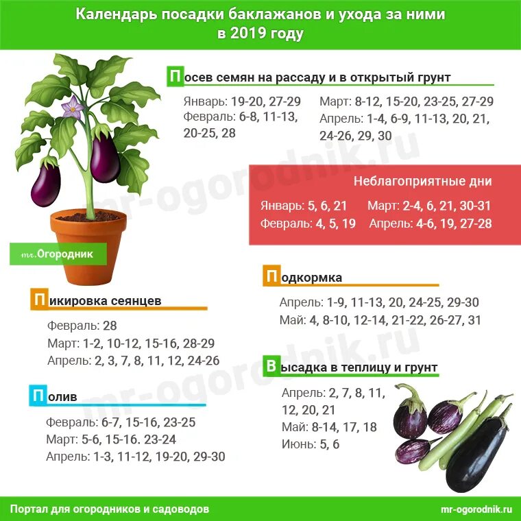 Календарь когда можно сеять перец. Баклажаны высадка рассады в открытый грунт сроки. Рассада баклажан. Календарь рассады. Даты для посадки перца и баклажанов.