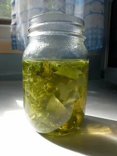 Бесконечный настой