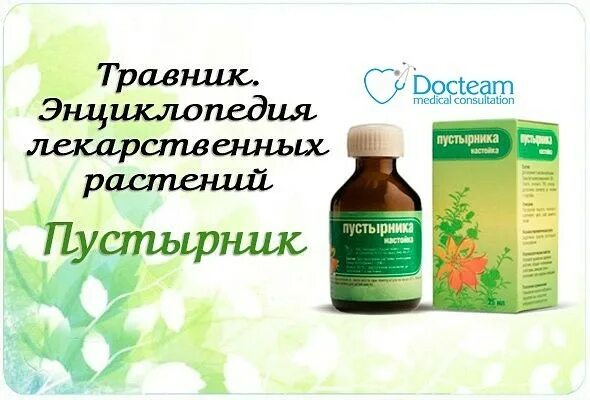 Пустырник при повышенном давлении можно. Пустырник лекарственный аллергический. пустырник при гипертонии. пустырник от тахикардии. пустырник и давление.