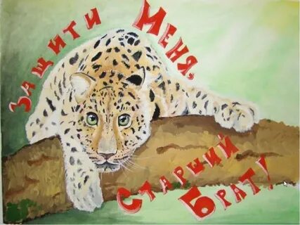 Плакат мир животных
