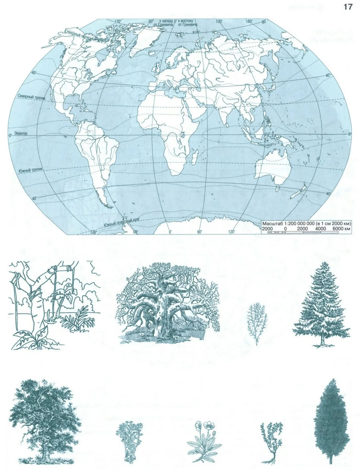 Контурные карты по географии 6 Биосфера. Контурная карта 7 класс Душина Летягин стр 16.