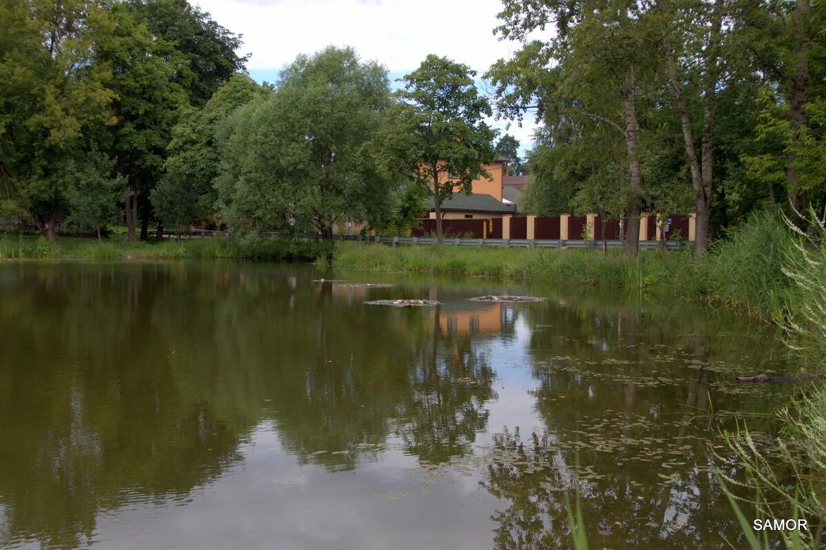 тарелочкин пруд балашиха. серебряный пруд салтыковка. салтыковка пруд. серебряный пруд салтыковка. серебряный пруд салтыковка.