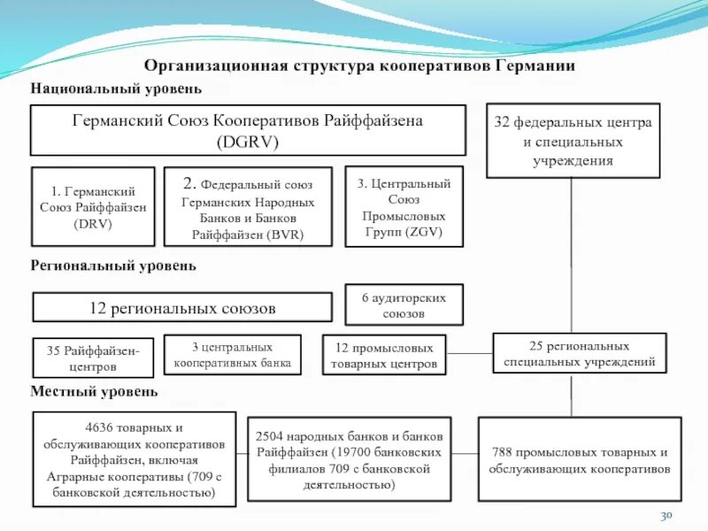 Структура управления производственного кооператива. Организационная структура Германии. Структура управления кооперативом. Организационная структура кооператива схема. Преобразование кооператива