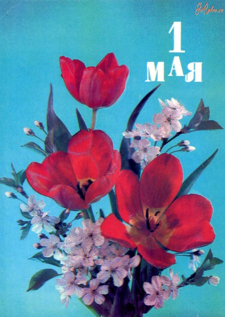 Открытки с 1 мая. Старинные открытки с 1 мая. Советские открытки с 1 мая. 1 Мая ретро открытки.