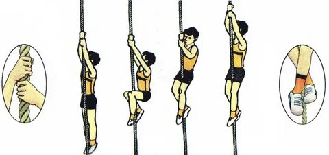 Спермы жалау туралы порно видео