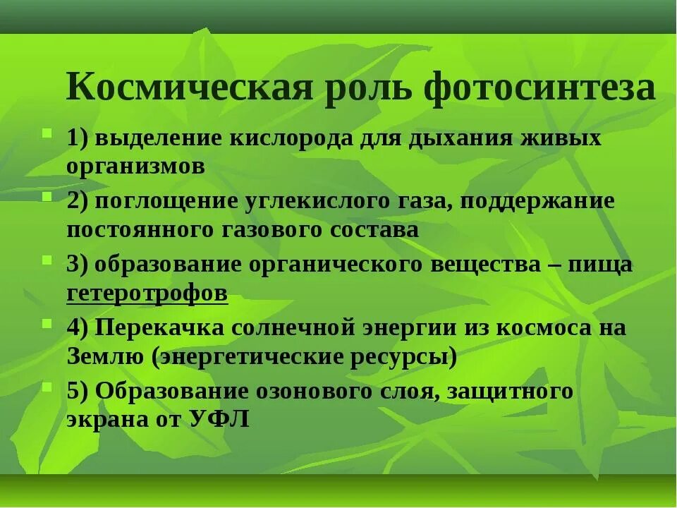 Какова роль кислорода в эволюции жизни биология. 6 Роль фотосинтеза. Космическая роль фотосинтеза. Роль процесса фотосинтеза. Биологическая роль фотосинтеза.