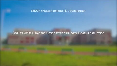 Лицей н г булакина