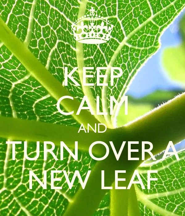 To turn over a New Leaf. Turn over a New Leaf идиома. To turn over. Turn over примеры. Get new life