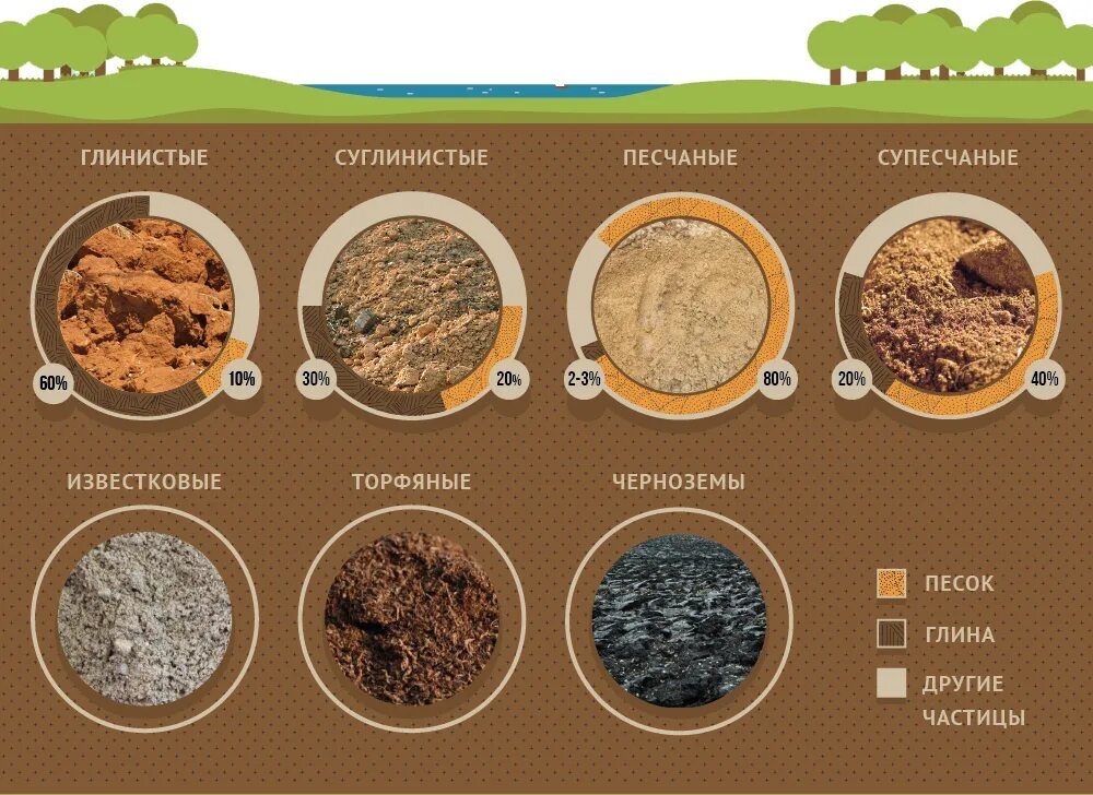 Глинистый определение. Глина суглинок супесь. Глинистая суглинистая супесчаная Песчаная. Виды почв. Виды грунта.