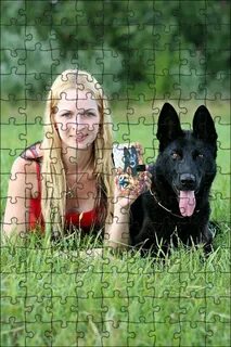 Blonde dog
