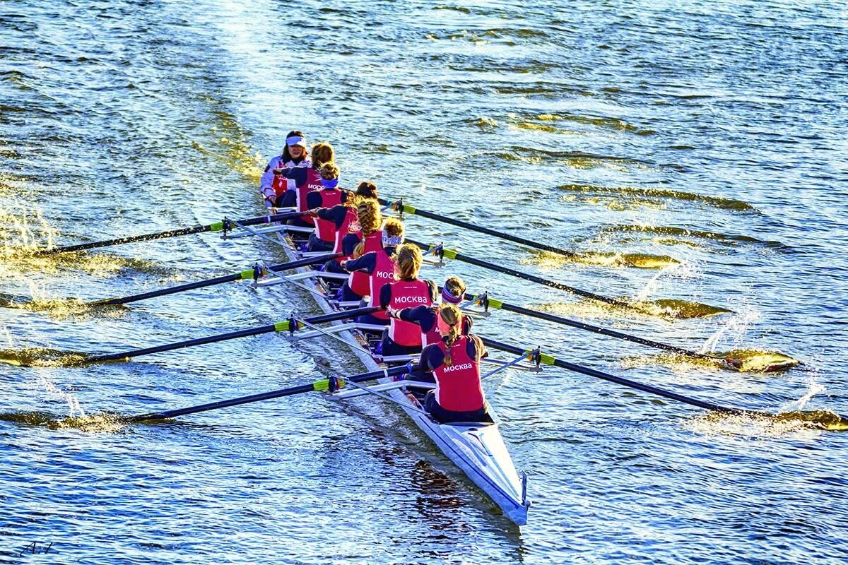 Гребля гонки. Академическая гребля восьмерка. Академическая гребля распашная. Академическая гребля восьмерка распашная. Гребцы Академическая гребля.