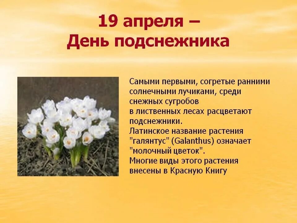 Время до 19 апреля