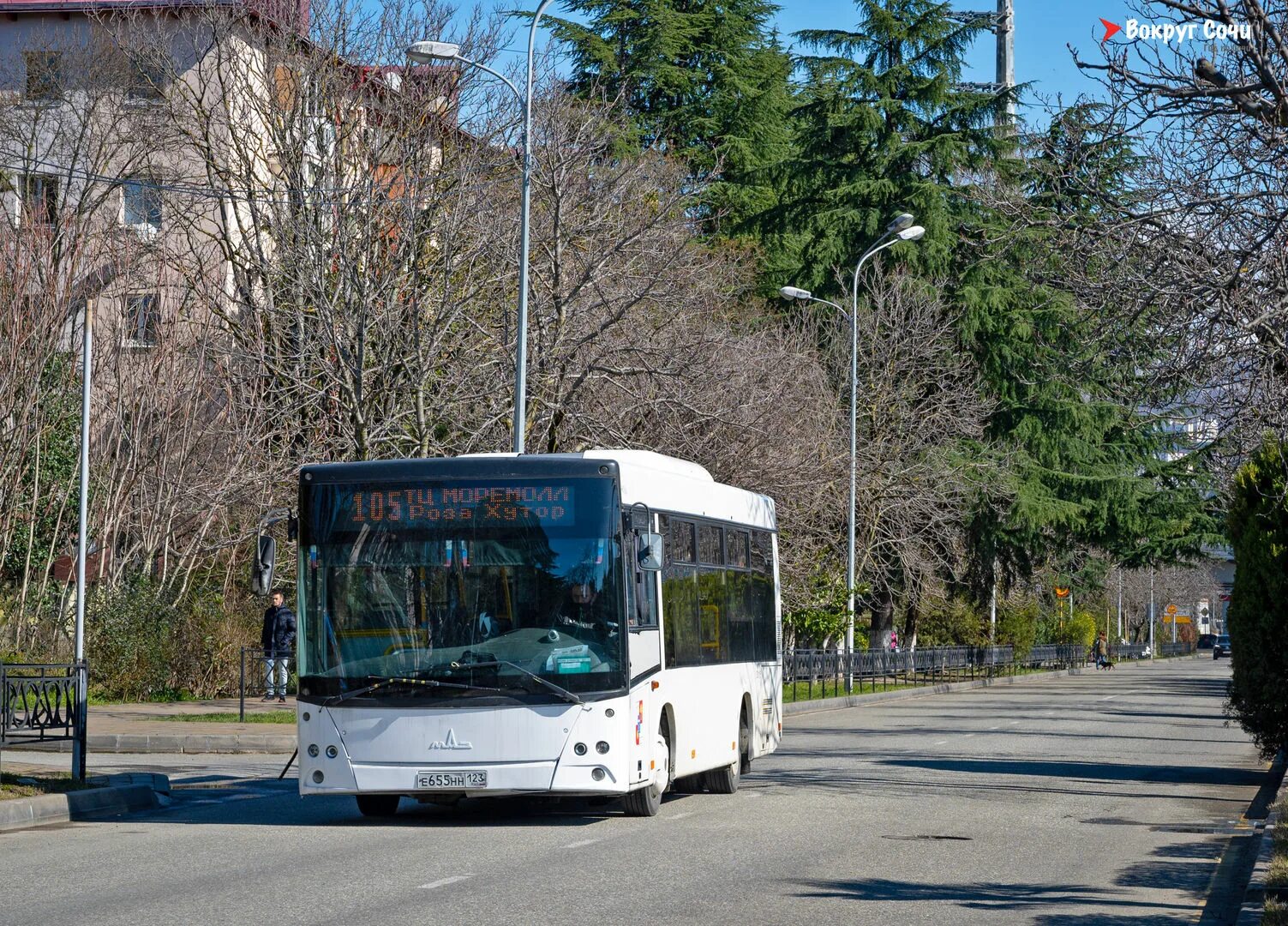 Сочи транспорт 2021. Автобус Сочи 2022. Сочинский автобус Волгабас. Автобусы Сочи 2023.