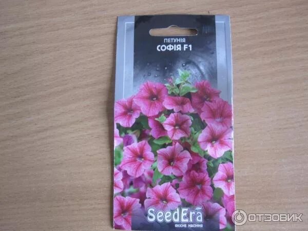 Семена