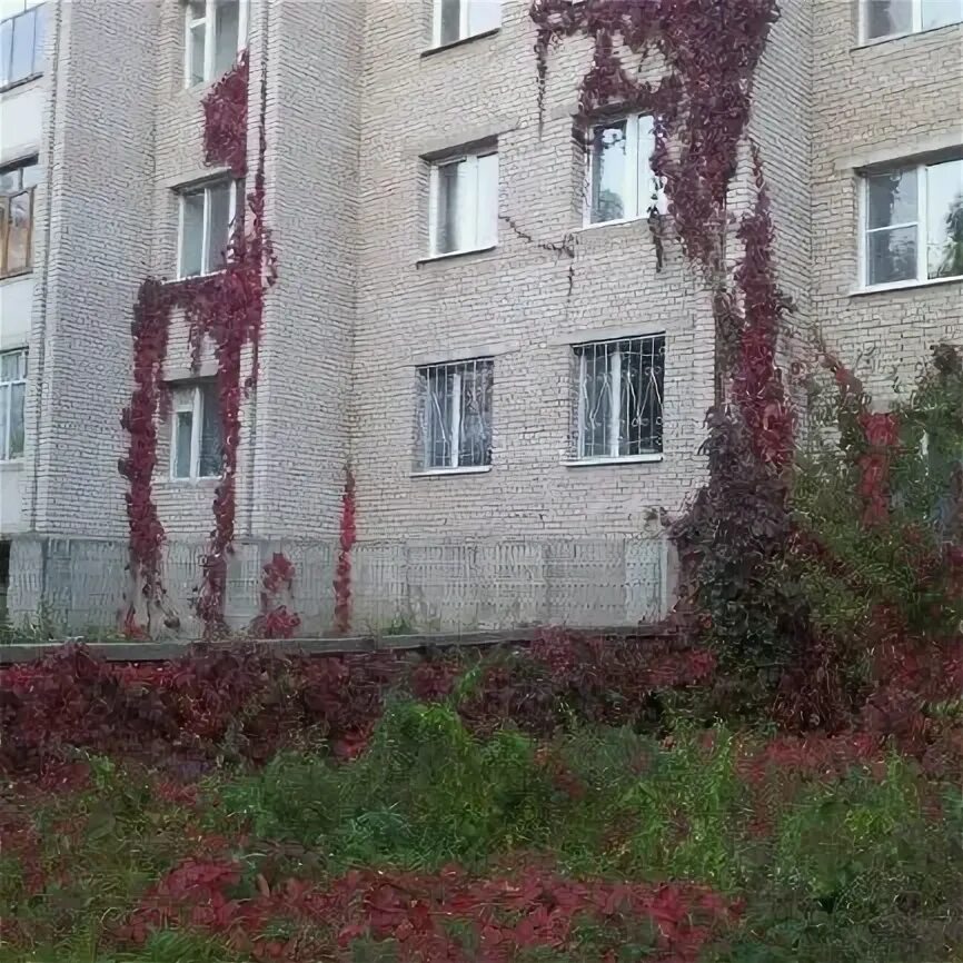 3 сосновый проезд. Протвино. сосновый проезд 3. протвино московская 13. сосновый проезд 3 протвино.