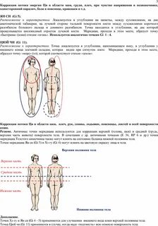 Верхняя половина туловища