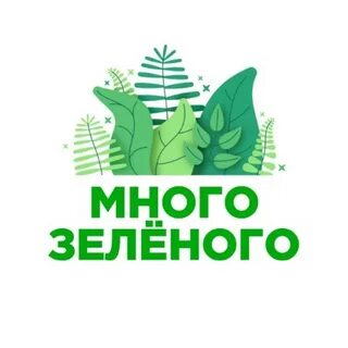 Много зеленого летом