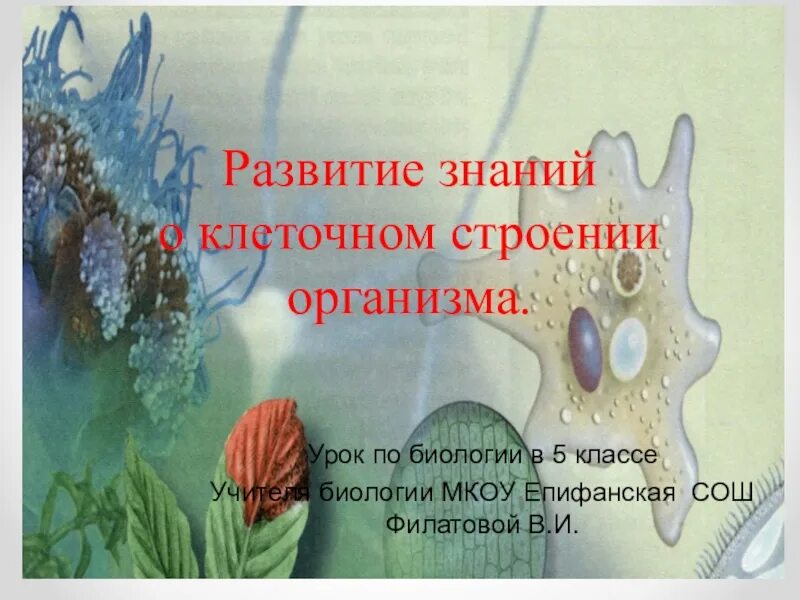 Формирование знаний о сезонных изменениях в природе. Плакат. Изменение представления о природе. Сезонные изменения в природе представления. Игра «когда деревья надевают этот наряд?».