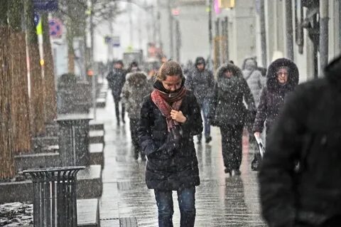 Погода 23 ноября в москве