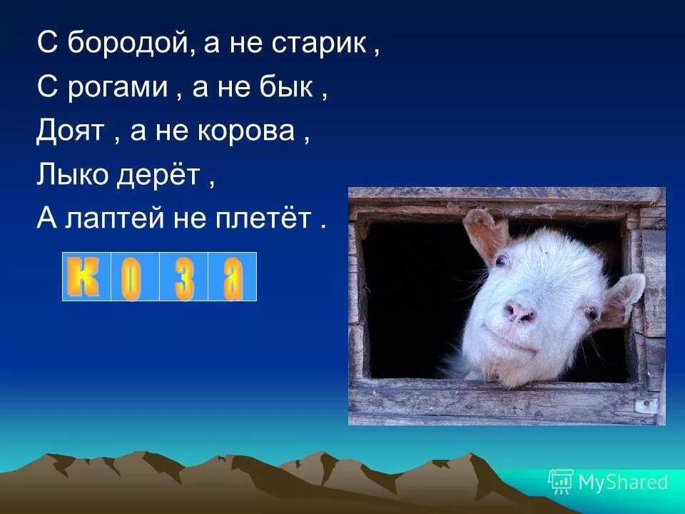 С бородой а не старик с рогами а не бык лыко дерет а лаптей не плетет. Бородой трясет лыко дерет а лаптей не плетет. Загадка четыре четырки две растопырки. Четыре четырки две растопырки седьмой. Бородой трясет лыко дерет а лаптей