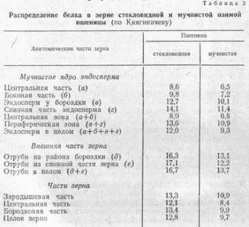 Содержание белка в зерне