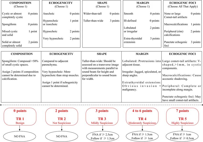 Eu tirads. Ti-rads 1 классификация. Tirads 5 классификация узлов щитовидной железы. Ti rads классификация. Ti-rads 1 щитовидной железы.
