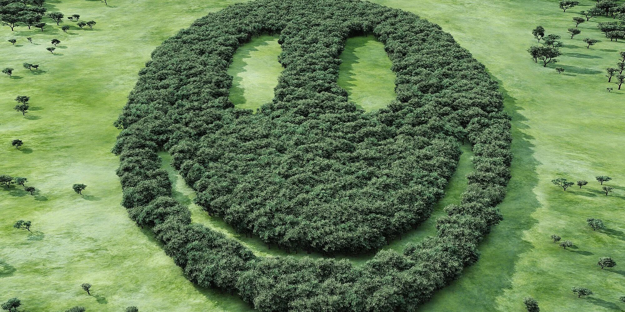 Зеленые легкие земли. Растения легкие нашей планеты. Леса легкие планеты. Лес легкие нашей планеты. Зеленые легкие земли.