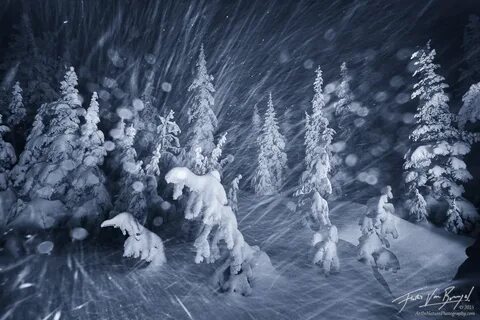 Ночью в полях под напевы метели