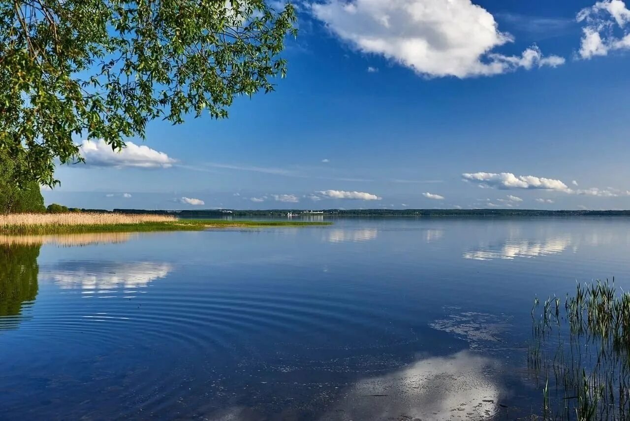 Плещеево озеро Переславль Залесский. Парк Плещеево озеро Переславль Залесский. Ярославль Плещеево озеро. Плещеево озеро Переславль Залесский Ярославская область. Чтения на озерах