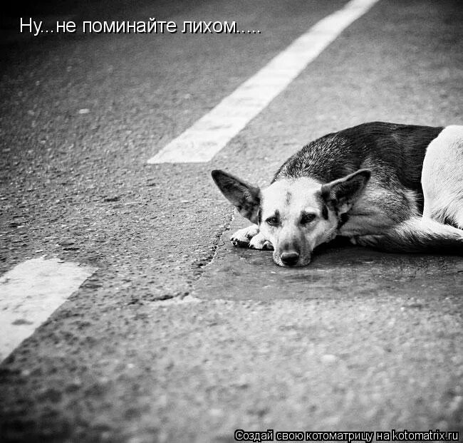 Не поминайте лихом значение. Не поминайте лихом. Поминайте лихом. Не поминайте лихом картинки. Прощайте не поминайте лихом.