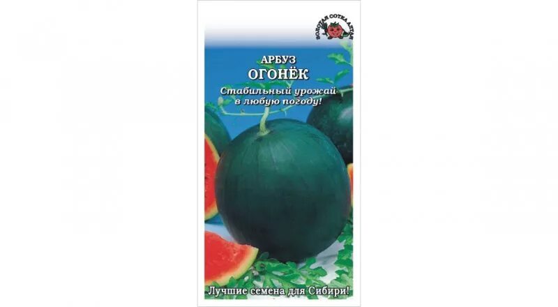 Рассада арбуза огонек. Арбуз огонек, семена Алтая, 1гр.. Арбуз огонек ранний 3г Фаско. Семена Арбуз огонек. Арбуз огонек в теплице.