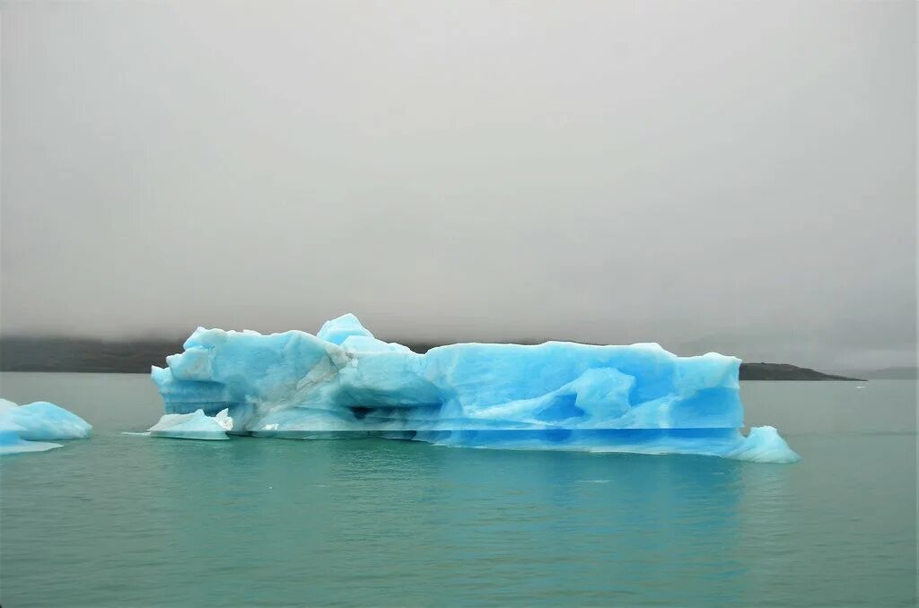 Чем можно растаять лед. Лед растаял. Бактерии из оттаявшего льда. Растаять как Айсберг в океане. Земля если льды растают.