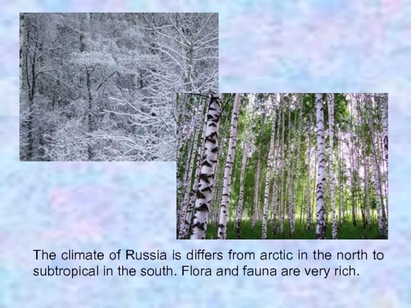 The climate in Russia 5 класс. Climate of Russia. Природа России на английском.