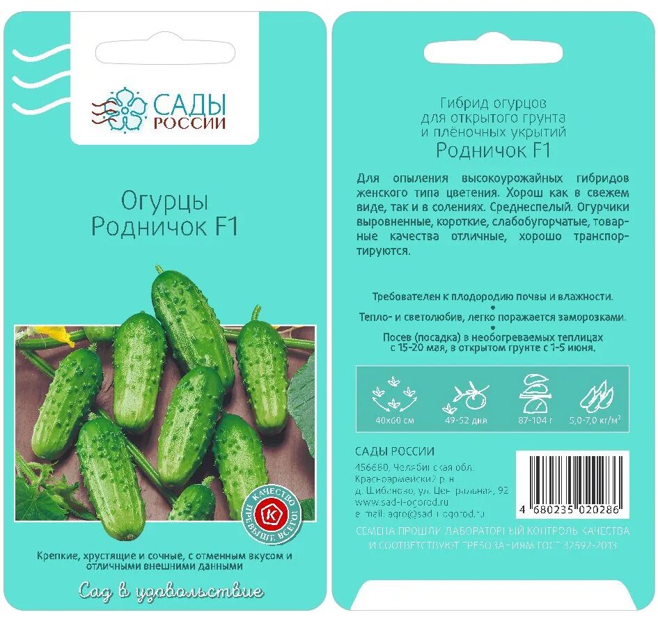 Огурцы рубинштейн описание сорта. Огурец рубинштейн отзывы. Рубинштейн огурец отзывы. Огурец рубинштейн отзывы. Партнер огурец директор f1.