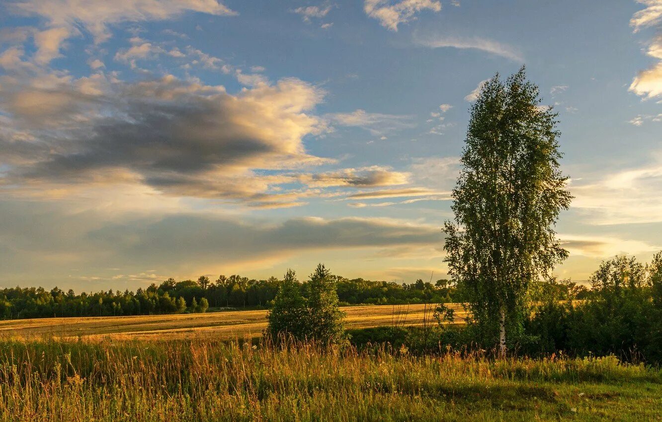 Поволжская природа. Леса Саратовского Поволжья. Поволжье пейзаж. Приволжье природа. Поволжье фото природы.