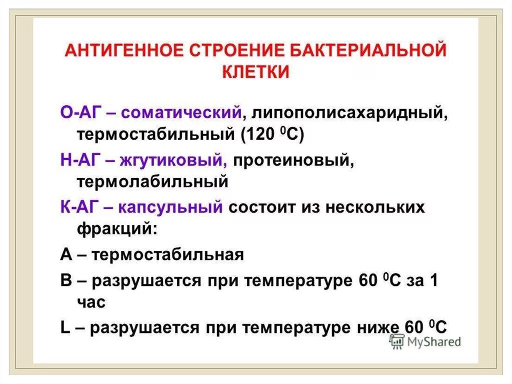 Антигенные свойства бактерий. Антигенная структура микробной клетки. Антигенная структура бактериальной клетки. Антиген строение классификация. Антигены и их свойства.