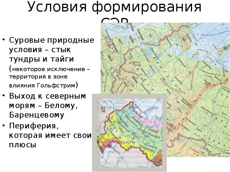Тундра условия формирования. Условия формирования тайги. природные условия тайги. условия формирования тайги в россии. условия формирования таежных лесов.