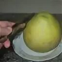 Помело фрукт ударение правильное