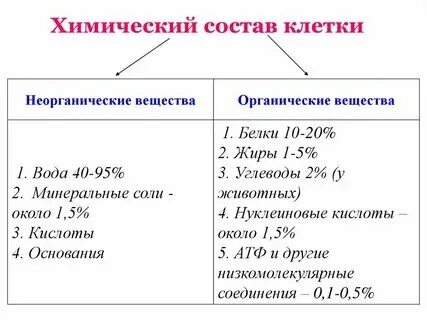 Органические и неорганические свойства клетки