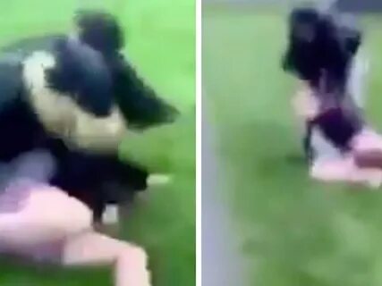 Girl Fight Stripped. 